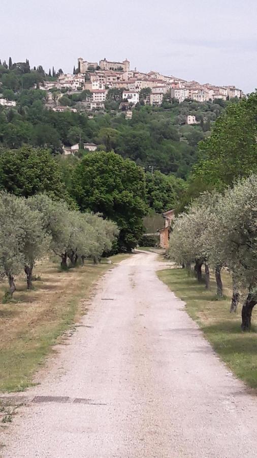 La Rose Des Vents Bed & Breakfast Montauroux Exterior foto