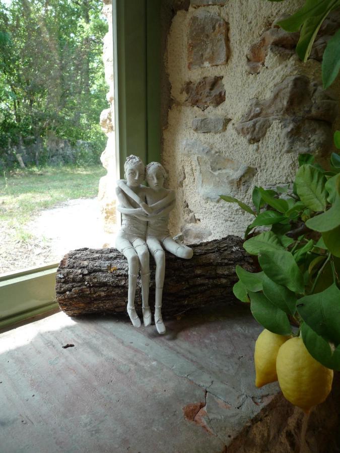 La Rose Des Vents Bed & Breakfast Montauroux Exterior foto