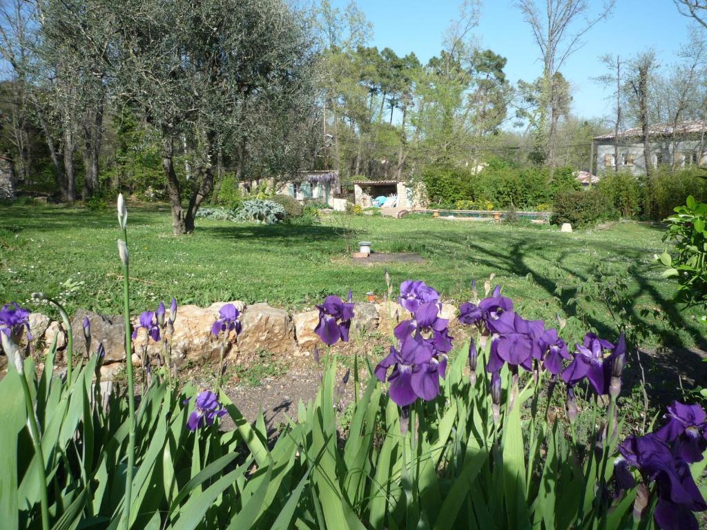 La Rose Des Vents Bed & Breakfast Montauroux Exterior foto
